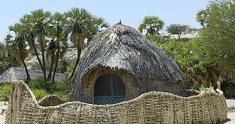 Eliye Springs Camp & Lodge