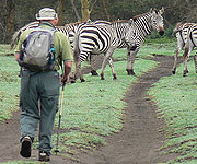 Crescent Island Wildlife Sanctuary