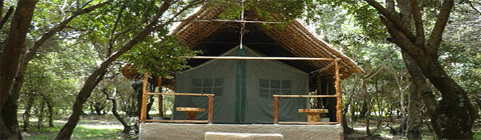 Enchoro Wildlife Camp