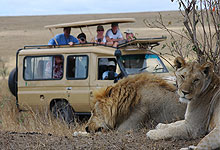 Family Safari in Kenya