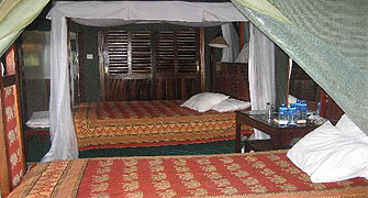 Fig Tree Camp 
