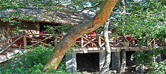 Fig Tree Camp