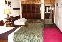 Fig Tree Camp 