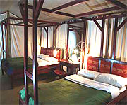 Fig Tree Camp 