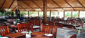 Fig Tree Camp