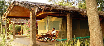 Fig Tree Camp