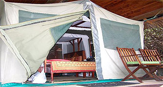 Fig Tree Camp 