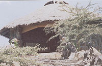 Elementaita Flamingo Camp
