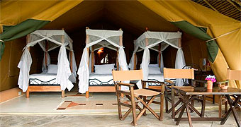Flamingo Hill Camp