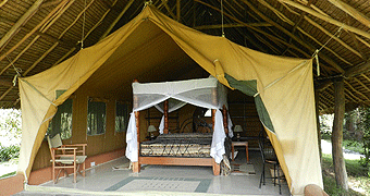 Flamingo Hill Camp
