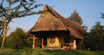 Flamingo Hill Camp