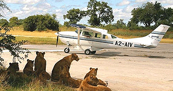 Kenya Flying Safaris