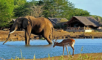 Tsavo East 