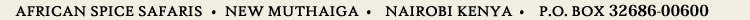 footer