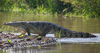 Funzi Island Mombasa Full Day Boat Excursion