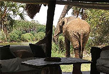 Galdessa Camp Tsavo East National Park, Kenya 