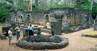 Gedi Ruins Tours 