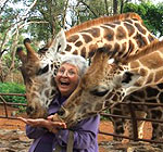 Giraffe Centre