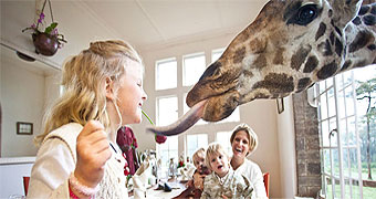 Giraffe Manor Hotel 