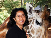 The Giraffe Centre 