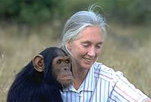Jane Goodall