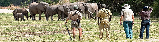 Governors’ Bush Camp