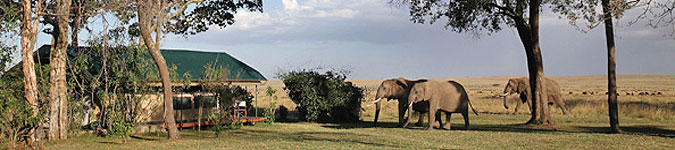 Governors Camp Masai Mara 