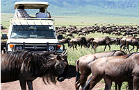 Great Migration