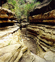 Hell's Gate National Park Lower Gorge/Ol Njorowa Gorge