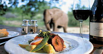 Honeymoon Safari