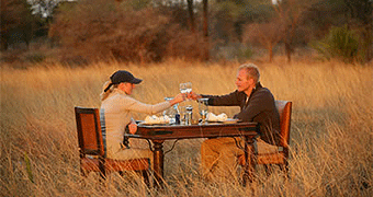 Honeymoon Safari