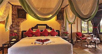 Honeymoon Safari