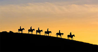 Horse Back Riding 