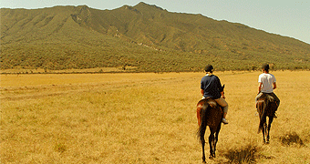 Horse Riding