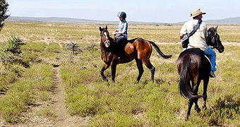 Horse Riding