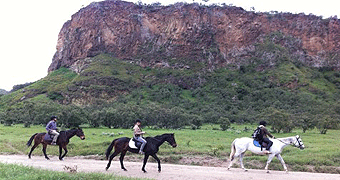 Horse Riding