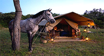 Horse Back Riding 