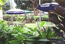 Impala Hotel Parklands 