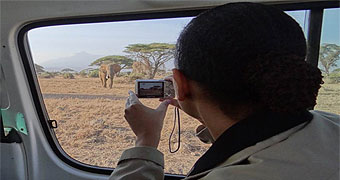 guests on safari