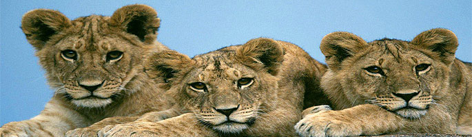 Kenya