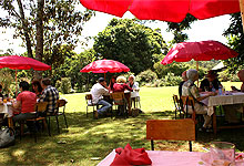 Kiambethu Tea Farm House