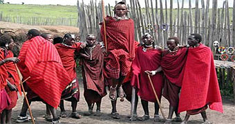 Kibo Safari Camp