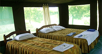 Kichakani Camp Masai Mara