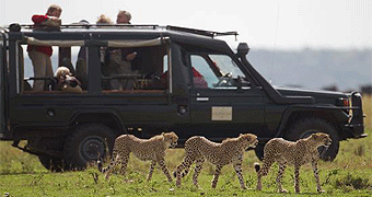 Kicheche Valley Camp Mara