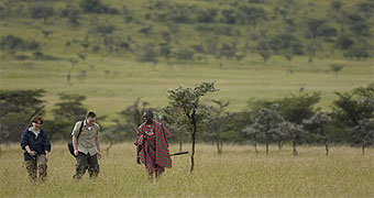 Kicheche Bush Camp