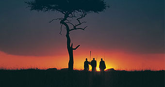 Kicheche Bush Camp