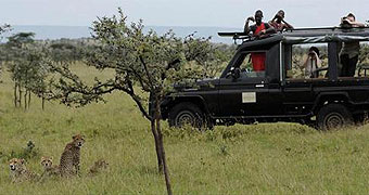Kicheche Mara Camp 