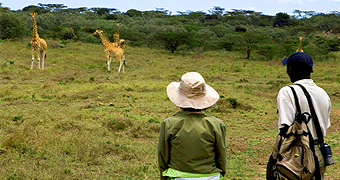 Kigio Wildlife Camp tour