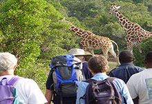 Kigio Wildlife Conservancy