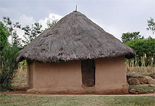 Kikuyu Hut